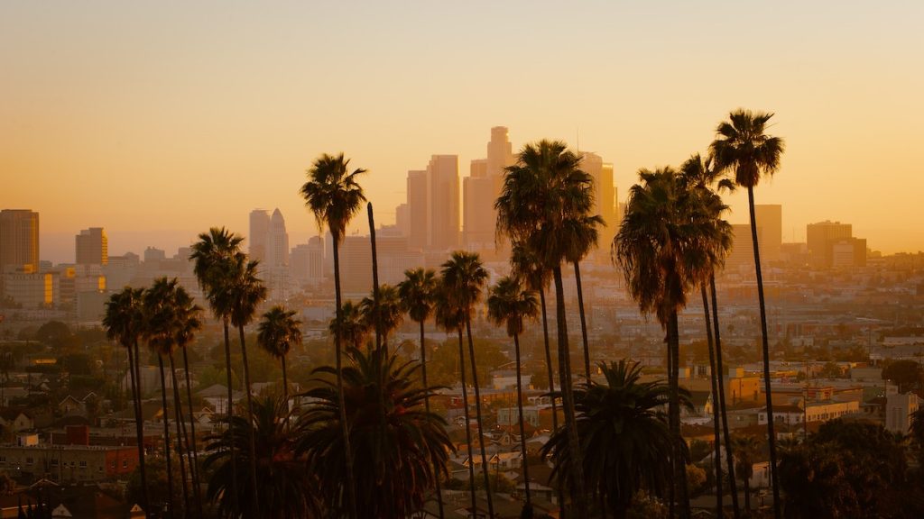Top 6 Reasons Why You Should Plan A Trip To LA