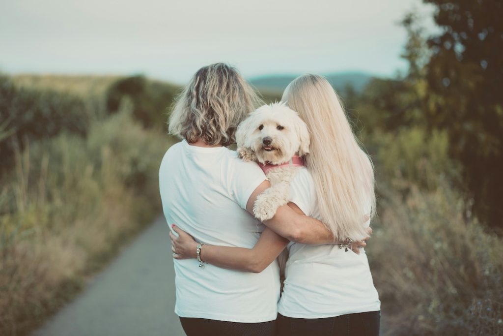 Furry Companions for Mental Health How to Get the Most out of Pet Parenting