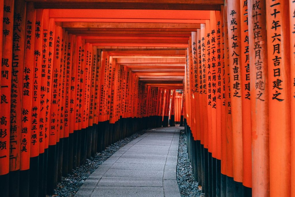 Why Private Japan Tours Are the Best for Beginners