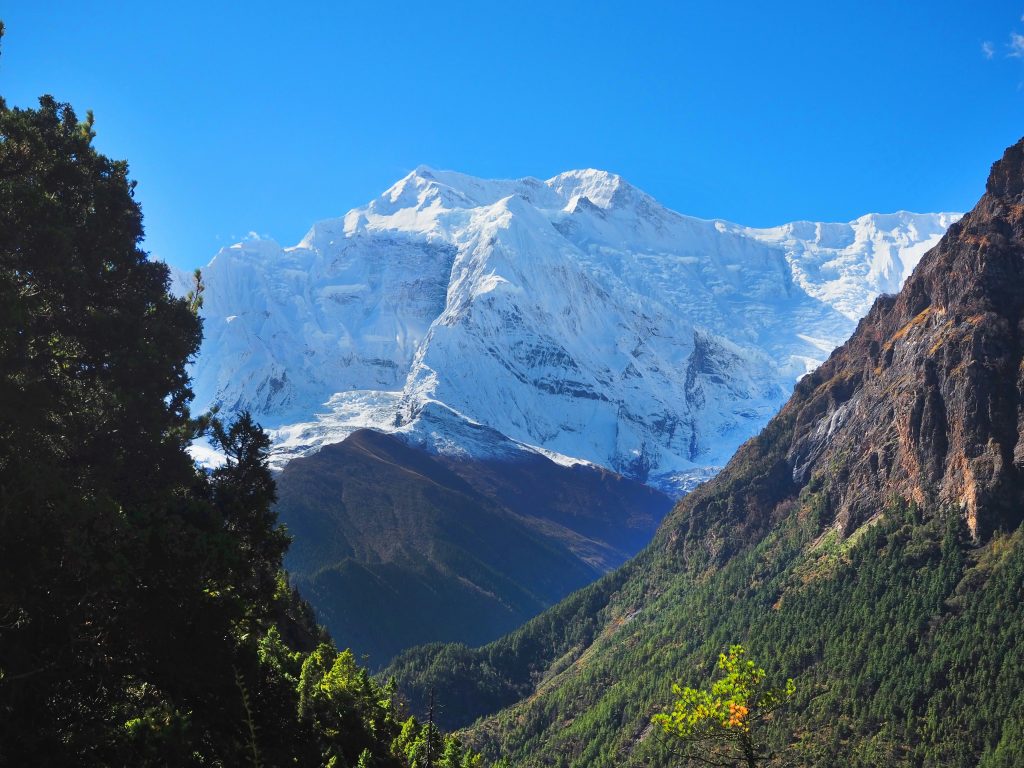 How Group Trekking Builds Lifelong Friendships annapurna circuit trek group trekking