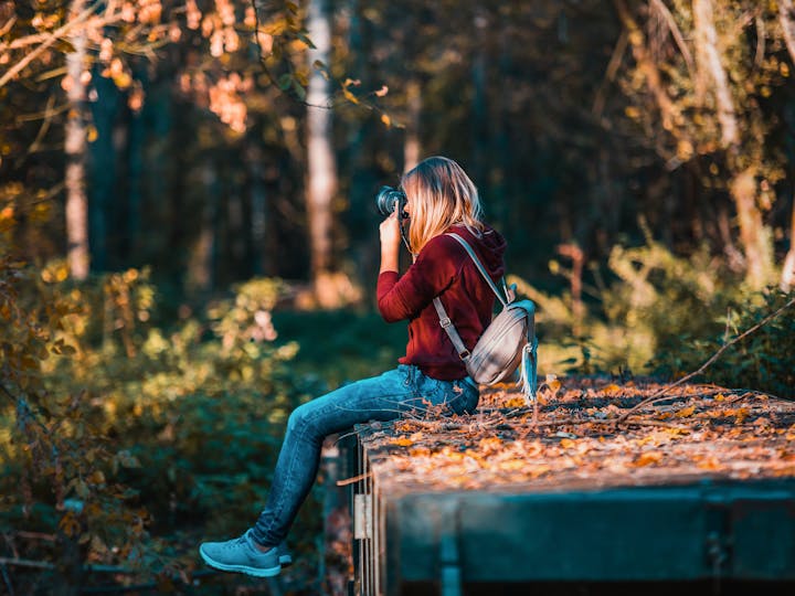 pexels david bartus 43782 610294